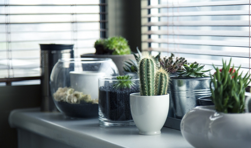 fleuriste-ASCROS-min_pots-716579